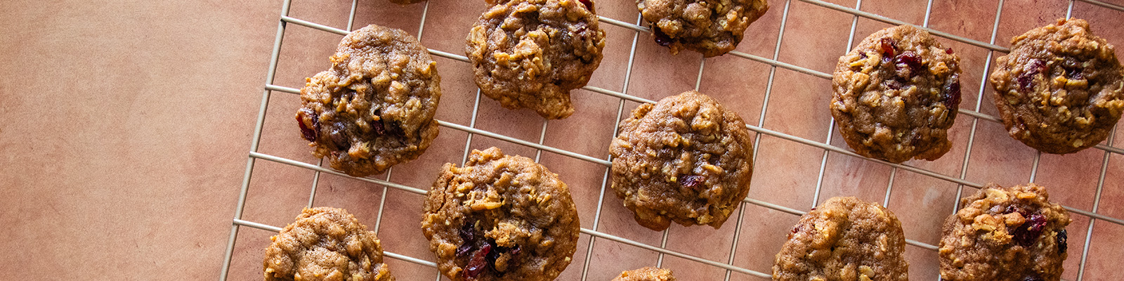 Pumpkin Oatmeal Cranberry Cookies